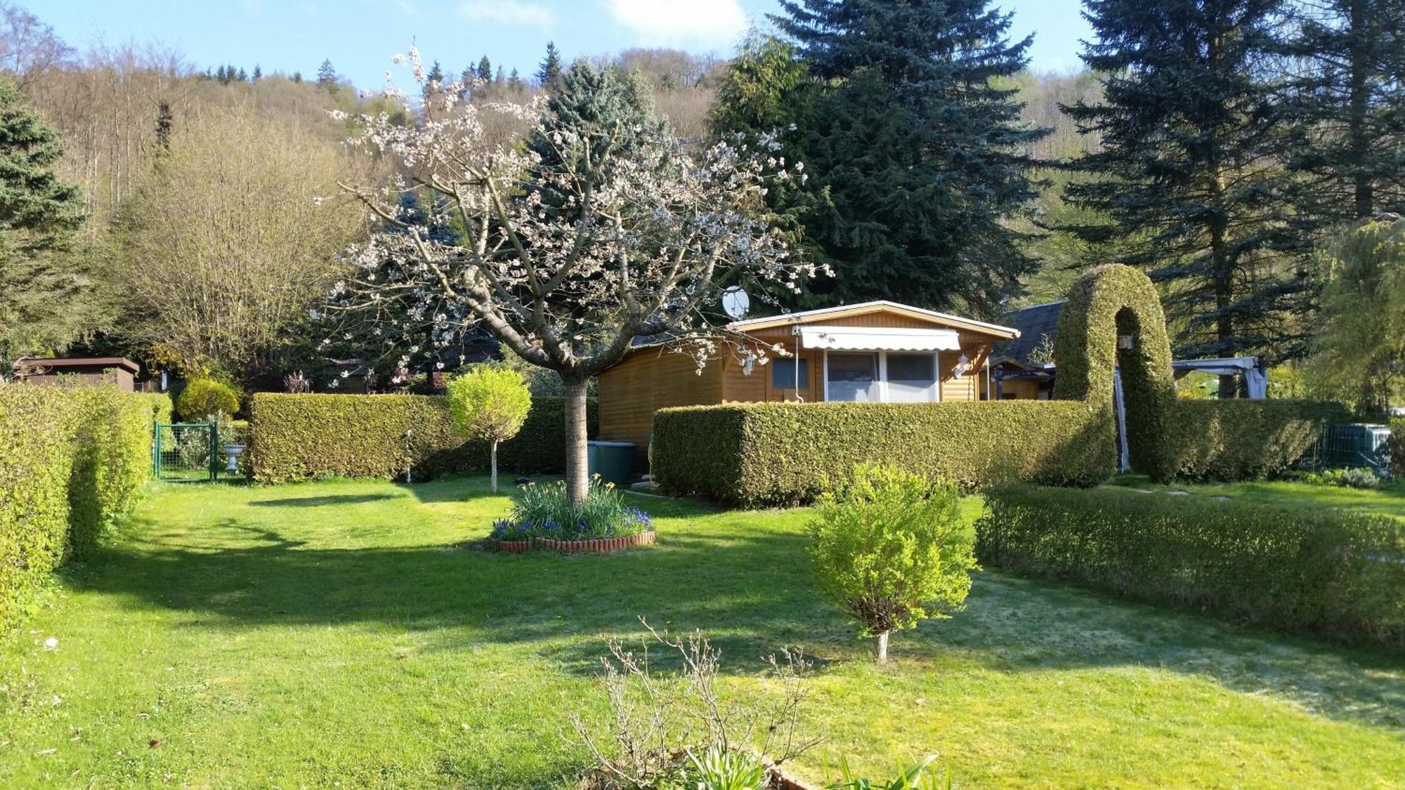 فيلا Poolhaus Im Suedharz Harztor المظهر الخارجي الصورة